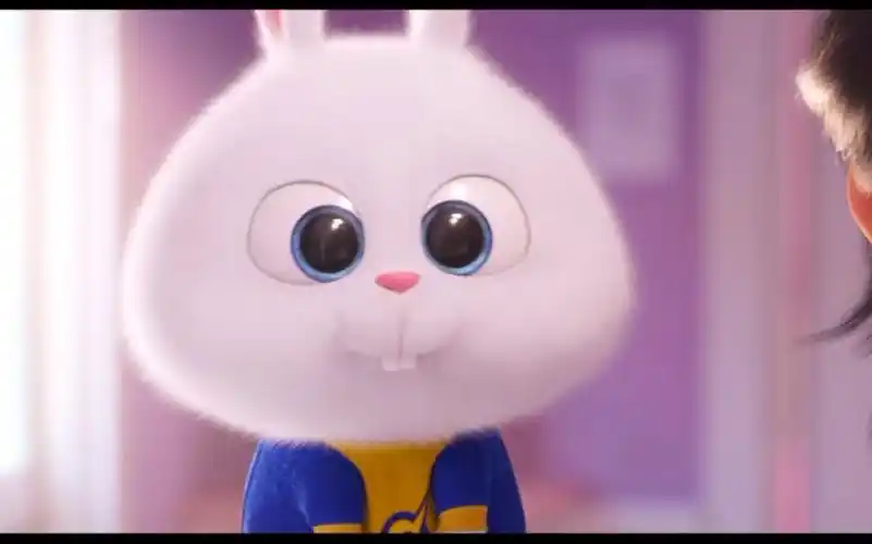 賊喜欢《爱宠大机密》中那个贱萌贱萌的兔老大!