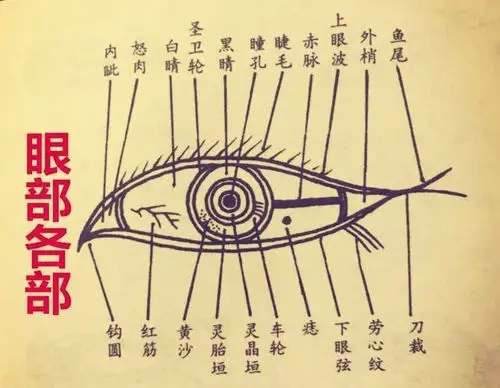 面相秘诀眼有三白不伤自己必伤他人