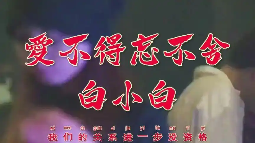 爱不得忘不舍【白小白】dj