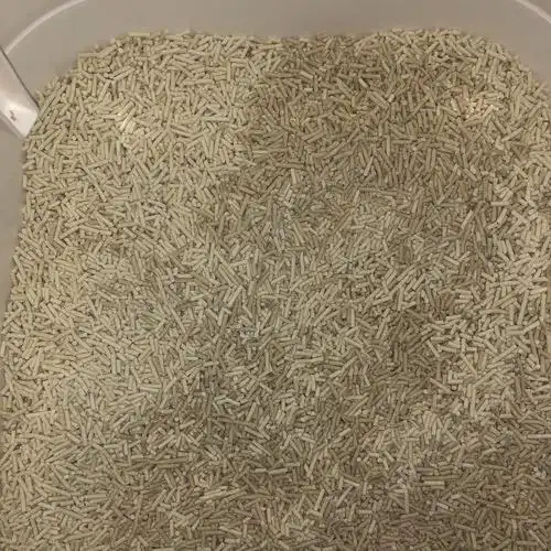 【讨论】两袋洁客猫砂颜色不一样?