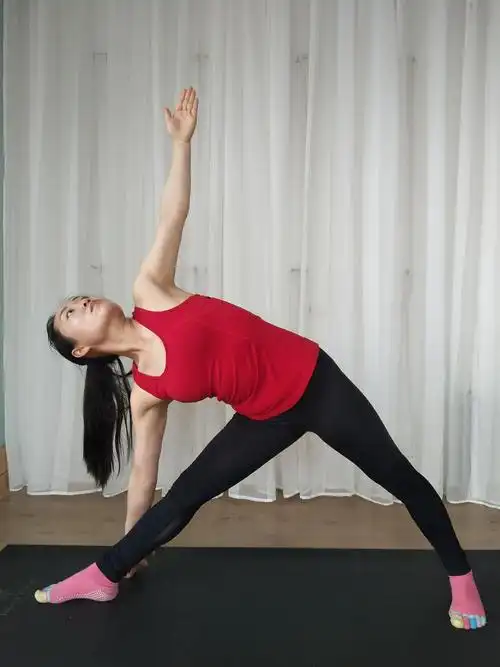 哈他瑜伽体式331