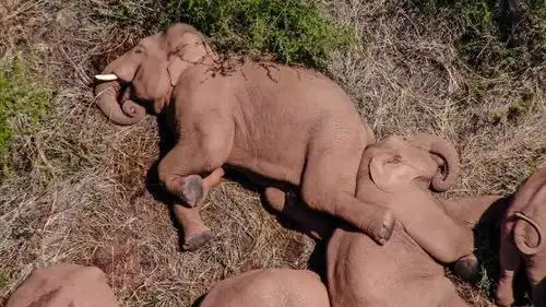 【跟着大象逛云南·"象"滇记】⑤昆明:"象"伴而生的地方