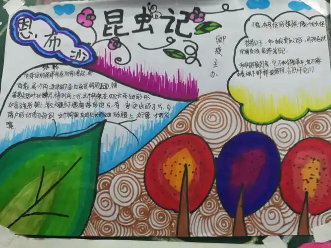 《昆虫记》手抄报(3班)