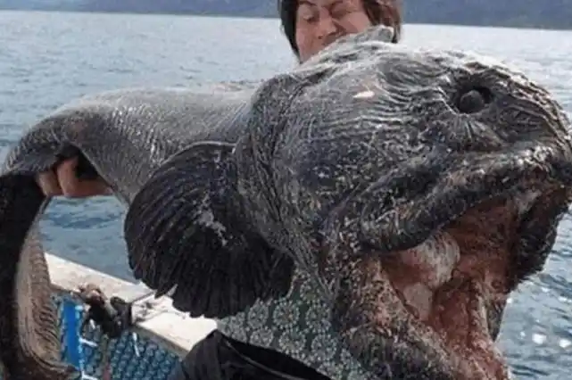 日本福岛变异人哪去了核泄漏对于一个国家到底有多可怕