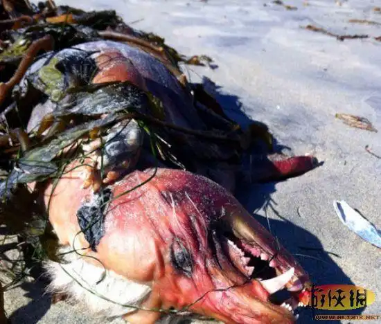 盘点让人毛骨悚然的怪兽 变异蚯蚓百毒不侵