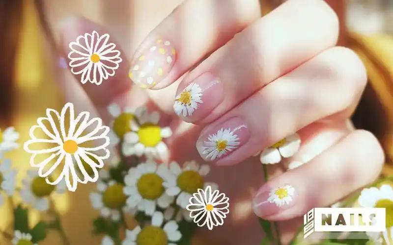 小短甲福音 | 75油画感清新小雏菊美甲75