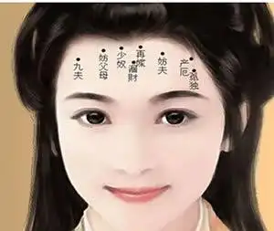 眉中藏珠面相图解