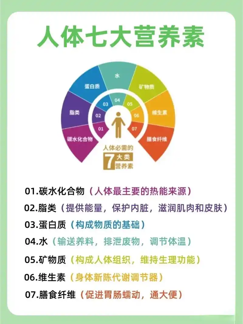 人体所需七大营养素,你都知道有哪些?