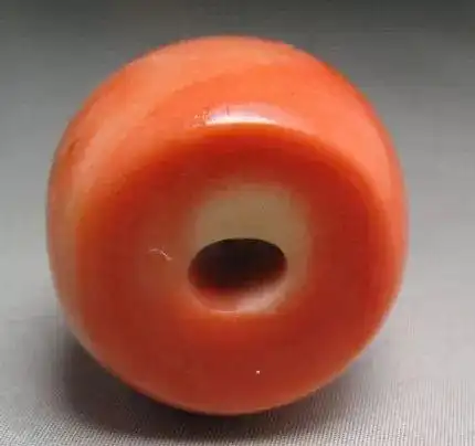 红珊瑚横截面,放大可见放射状,同心圆状结构.