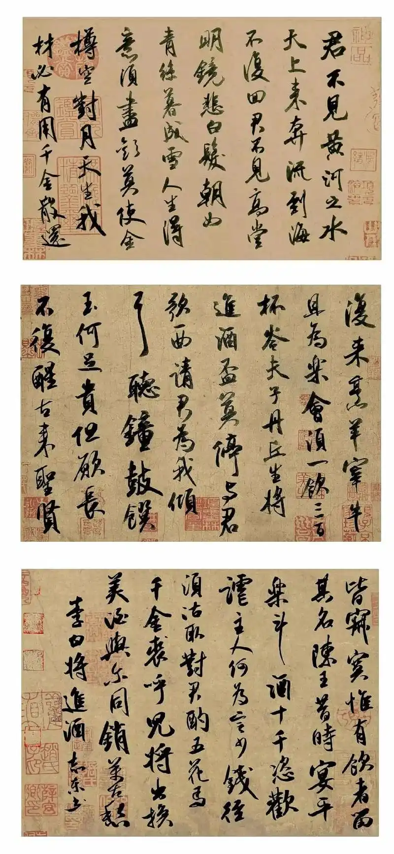 李白《将进酒》#原创书法作品 #写字是一种生活 #传扬中华文 - 抖音