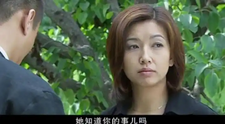 回顾征服演员境况不一李梅低调嫁豪门卖瓜哥复出成红人