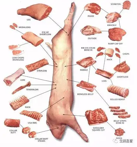 最全猪肉分割部位图册(收藏版)