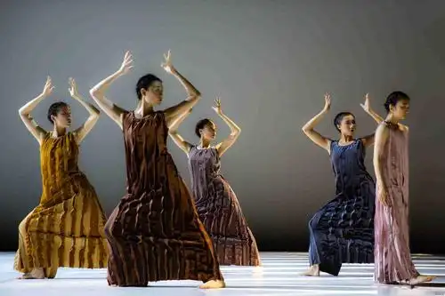 舞团力推青年编导新作,金星:中国的现代舞不只需要"金星"这一棵大树!