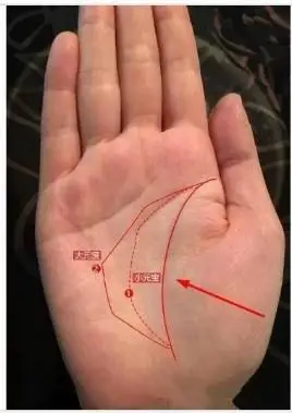 太厉害了!-手相研究 -易理讲堂