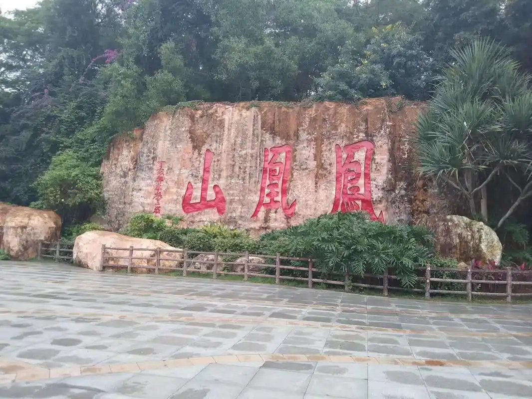 深圳市凤凰山森林公园#风景欣赏#愿你遇到的人都是温暖的 #v - 抖音