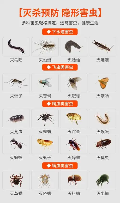 户净杀虫喷雾剂家庭害虫床上通用型蟑螂潮虫跳蚤虫苍蝇蚊子虱子蚂蚁