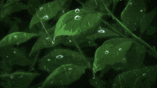 540_303gif 动态图 动图