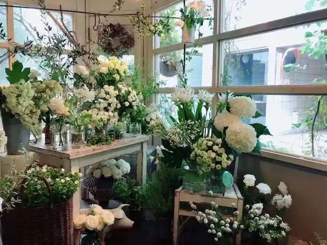 总之,花店布置切忌一成不变,适当地应时应景变化,给顾客新鲜感是很