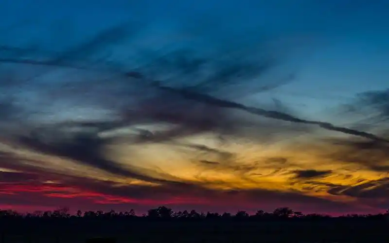 树木,傍晚,夕阳,天空,云