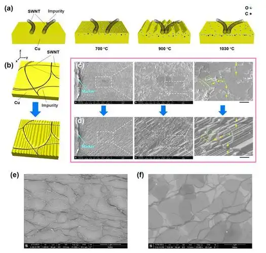 周维亚研究员等最新am实现自支撑柔性碳纳米透明导电薄膜的大面积制备