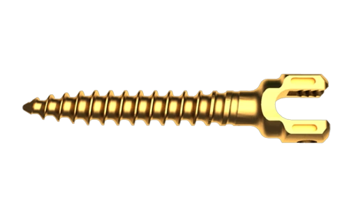 a9 胸腰椎前路钉棒系统