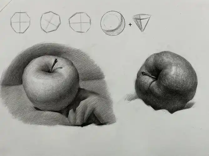 成都画室  #四川美术联考  #零基础素描  #素描苹果