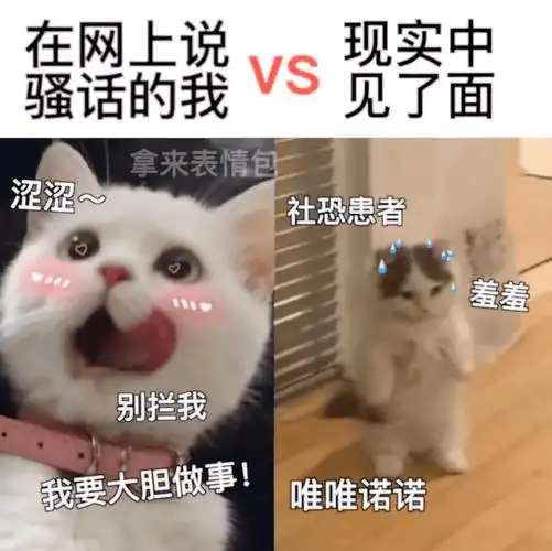 污污的表情包:脑子里净装这个了!