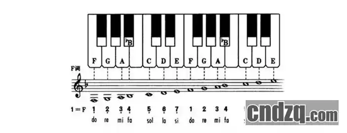 单排键电子琴学习区-中国电子琴在线论坛