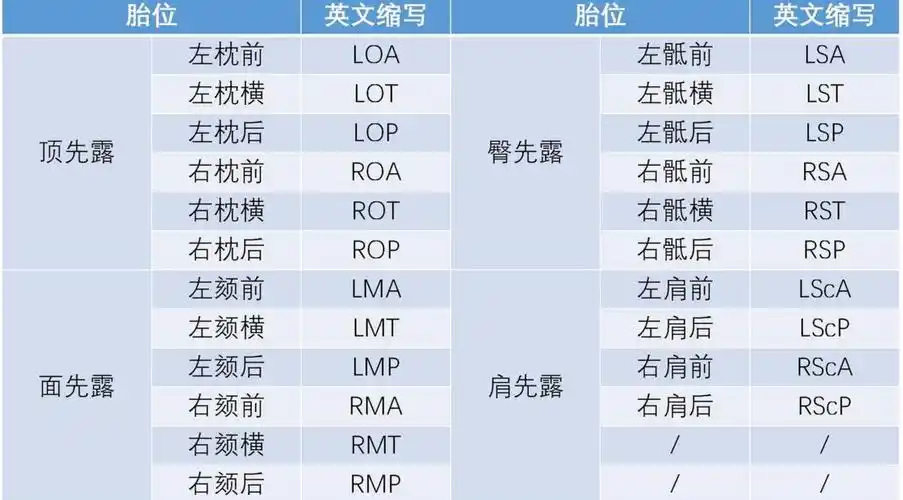兴奋!胎位图怎么看"更胜一筹"-第2张图片-伊卡博客