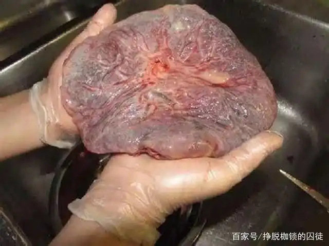吃胎盘真的大补?