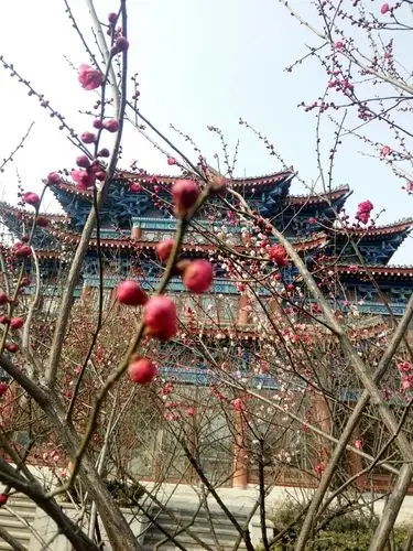 河南省开封市鼓楼区西门大街靠近一品楼(西门大街)天气预报