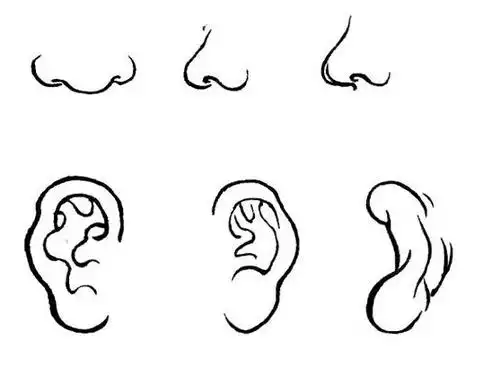 人物五官的简笔画图片-五官