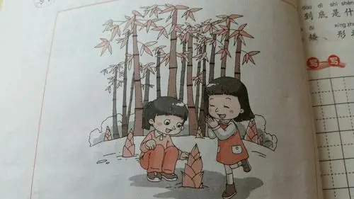 看图写话:观察小竹笋