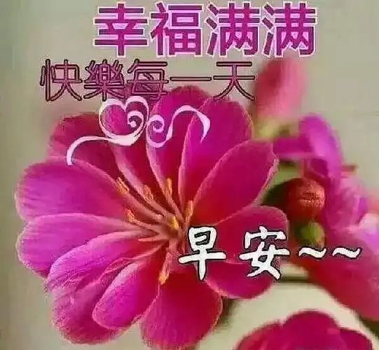 清晨早上好祝福语美图美句,愿你烦恼丢掉,快乐无限