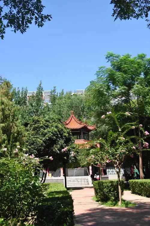 咸阳渭滨公园2020.9.