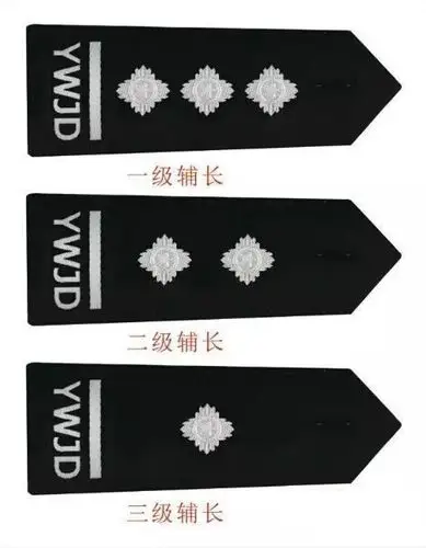 辅警有没有警衔?有级别吗?