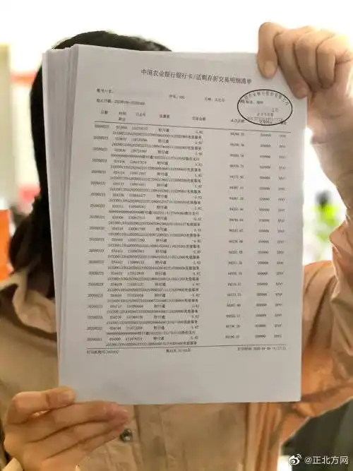 102页银行流水信息让父亲崩溃 熊孩子刷走父亲务农20000元