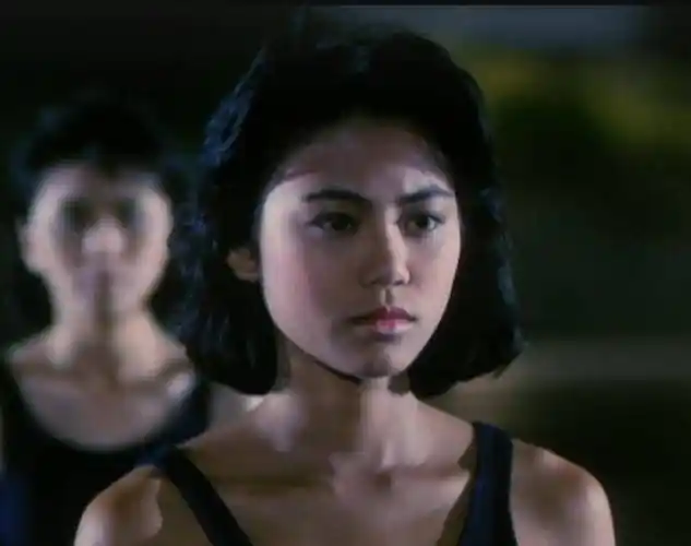 老港片霸王花你还记得吗,那些英姿飒爽的女警们现况如何了呢?