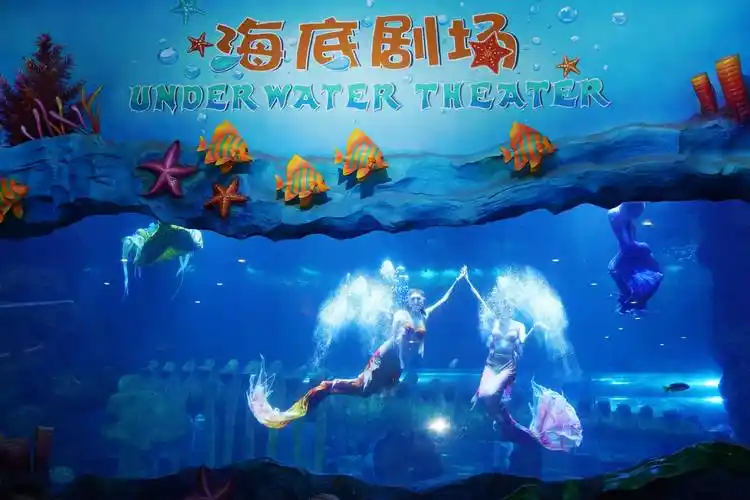 西安曲江海洋极地公园暑期"深海奇幻季"启幕