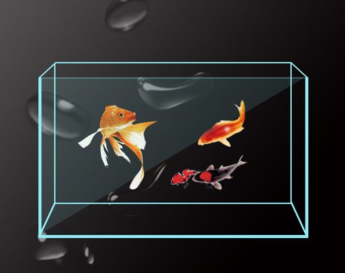 金晶超白鱼缸定制客厅长方形桌面高清小型龙鱼缸订做透明玻璃鱼缸