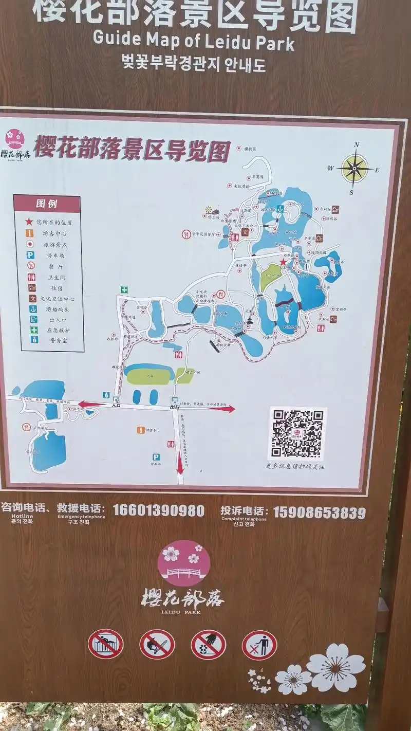 又是一年赏樱季.又是一年春风来,又是一年花开时,又是一年赏樱 - 抖音