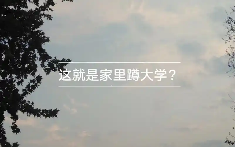 这就是家里蹲大学吗爱了爱了