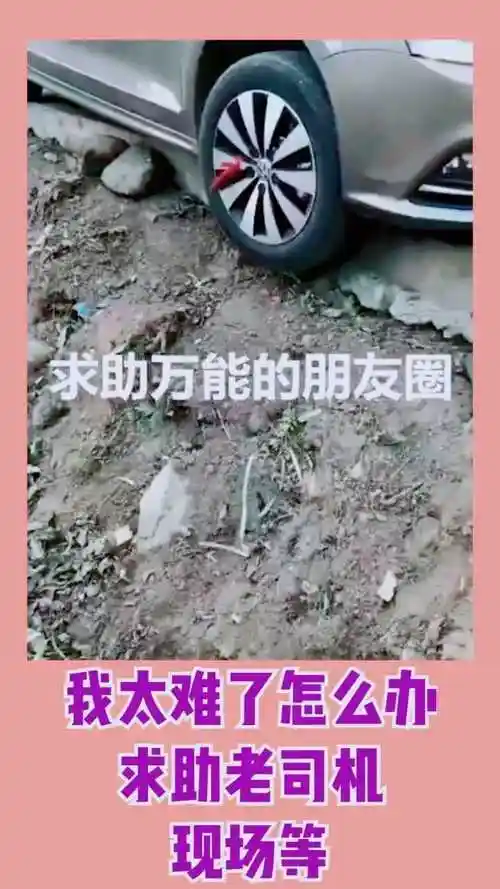 求助万能朋友圈,我该怎么办!