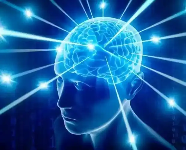 "脑科学 ai"如何携手并进?