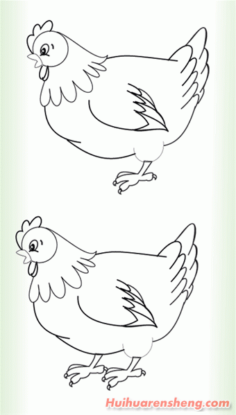鸡的嘴巴简笔画 简笔画图片大全-蒲城教育文学网