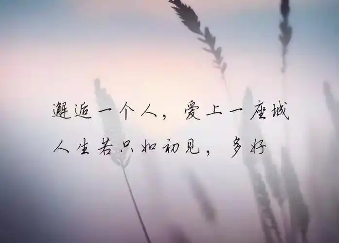 晚霞唯美的短句子(描写日落的优美句子)-美文社