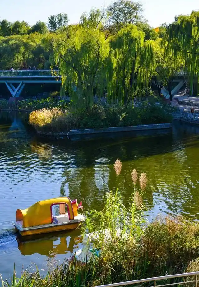 秋日的济南泉城公园,真是美的醉人!