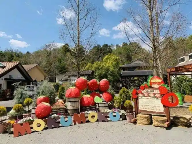 一二三产业融合做的最好的农场看这一篇就够了