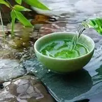 人生如茶不会苦一辈子头像_微信头像图片大全