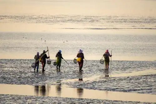1/ 12 2021年4月18日,国家一级保护动物野生麋鹿在江苏东台条子泥湿地